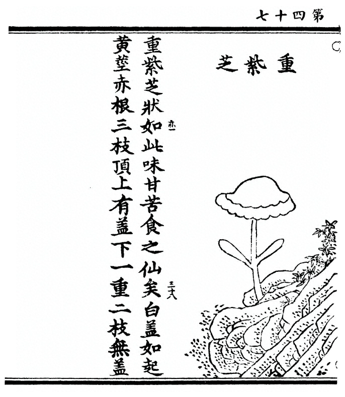 第 94 页