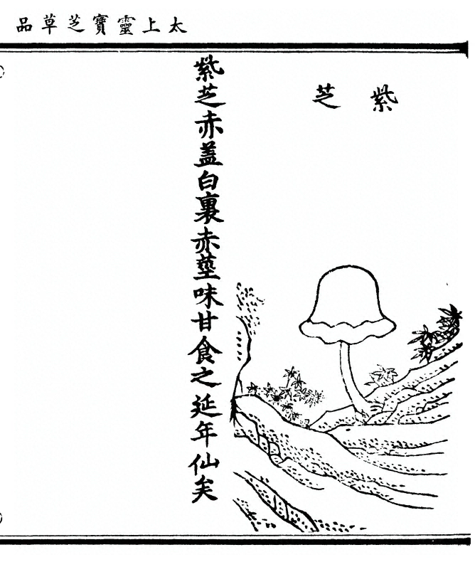 第 95 页