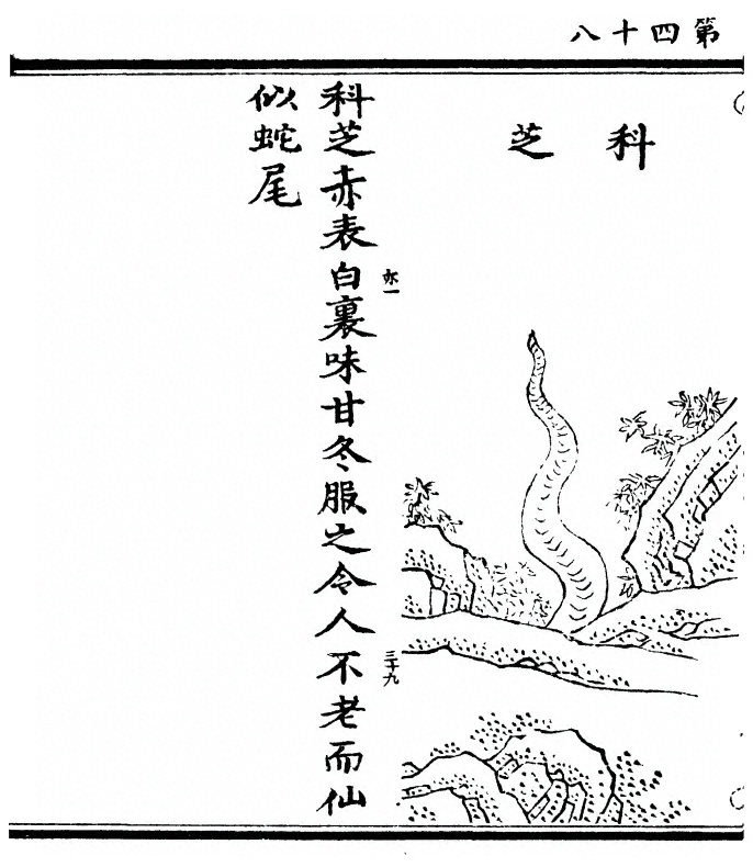 p. 96