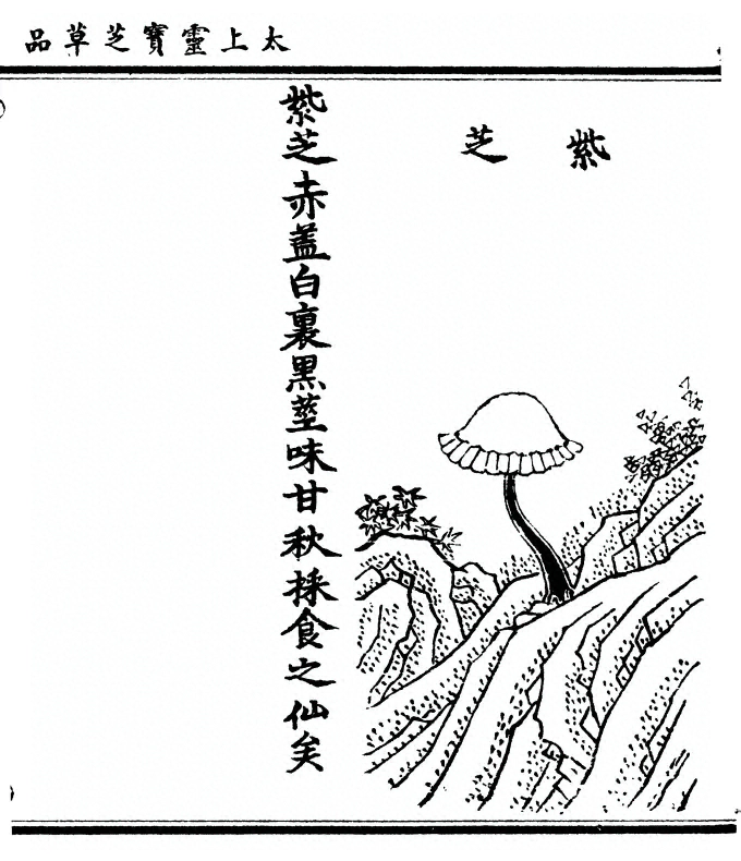 第 97 页
