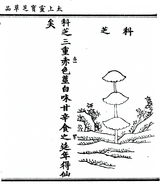 p. 99