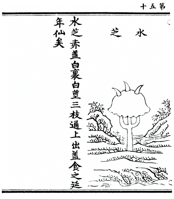 第 100 页