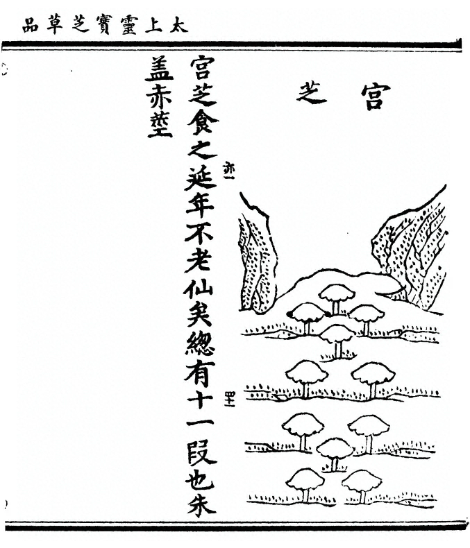 第 101 页