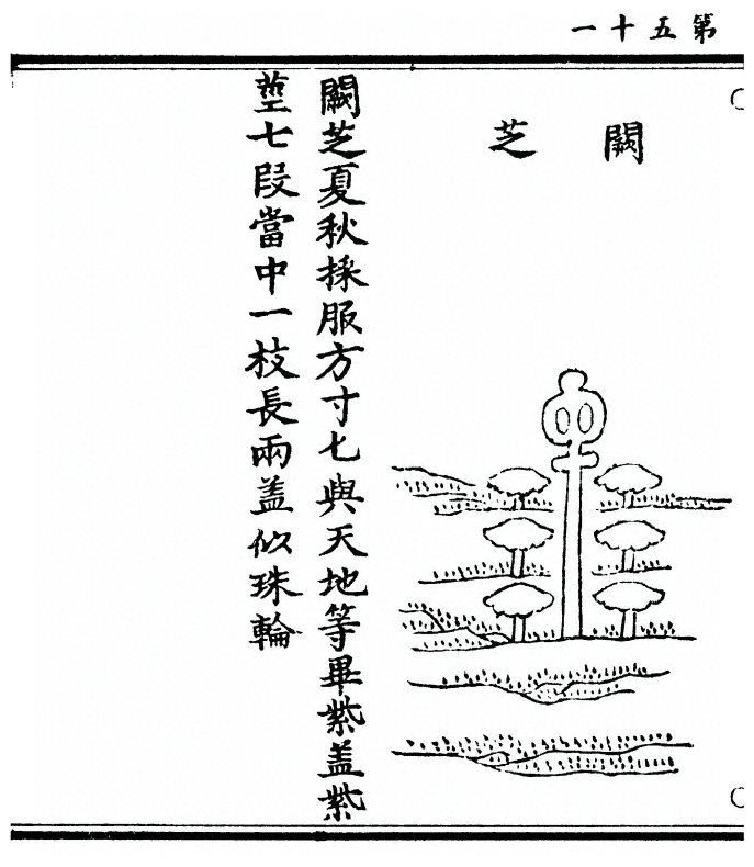 第 102 页