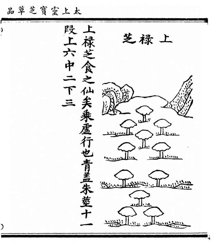 第 103 页