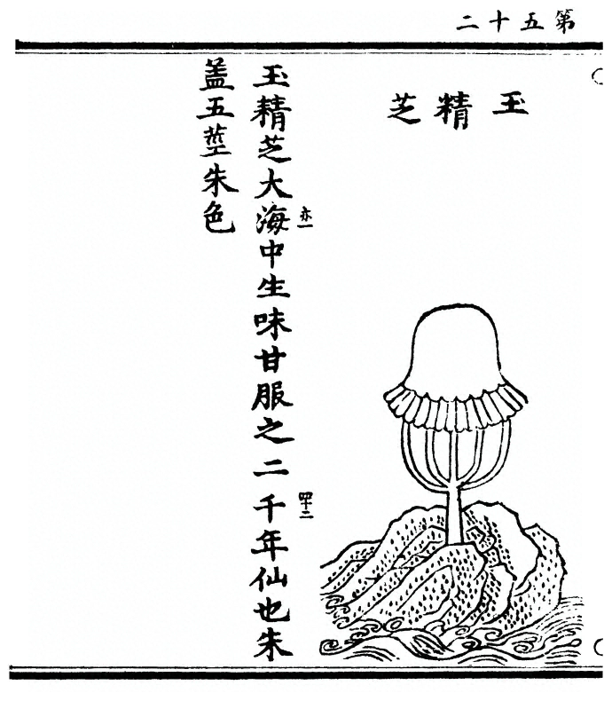 第 104 页