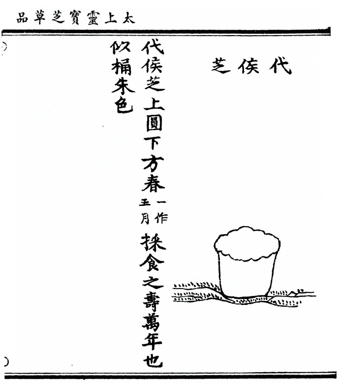 第 105 页