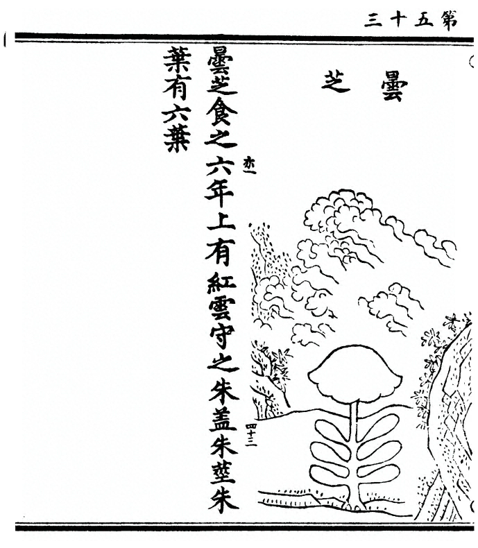 第 106 页