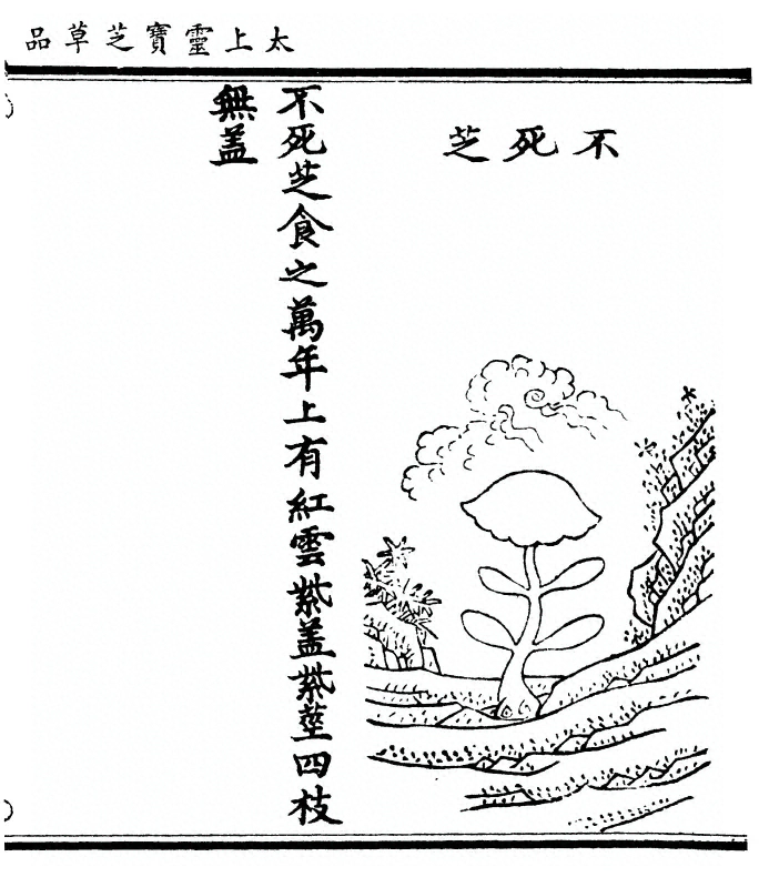 第 107 页