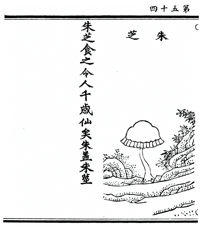第 108 页