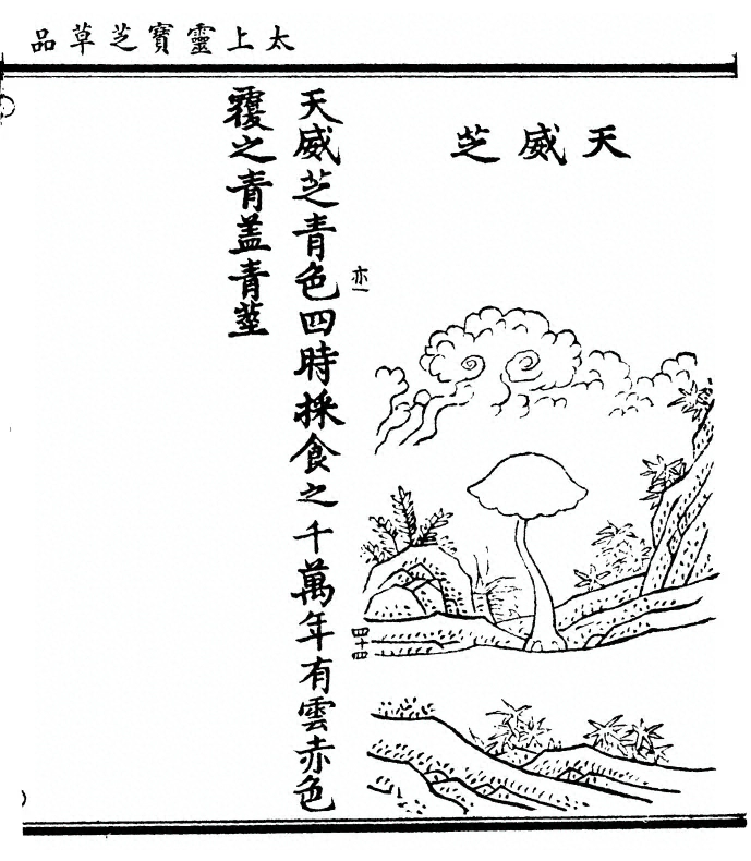 第 109 页