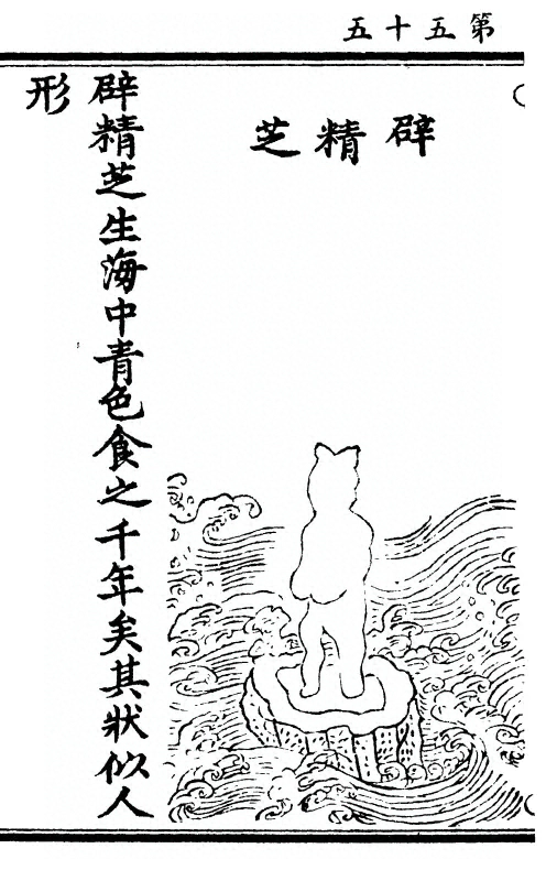 第 110 页