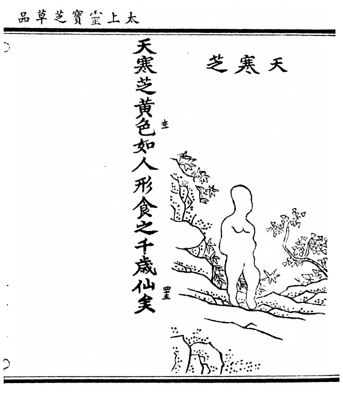 第 111 页