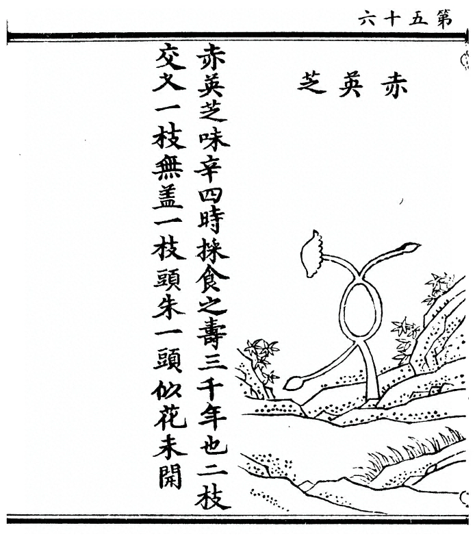 p. 112