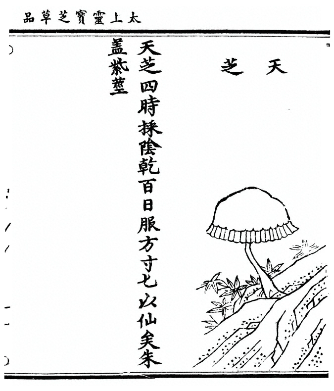 第 113 页