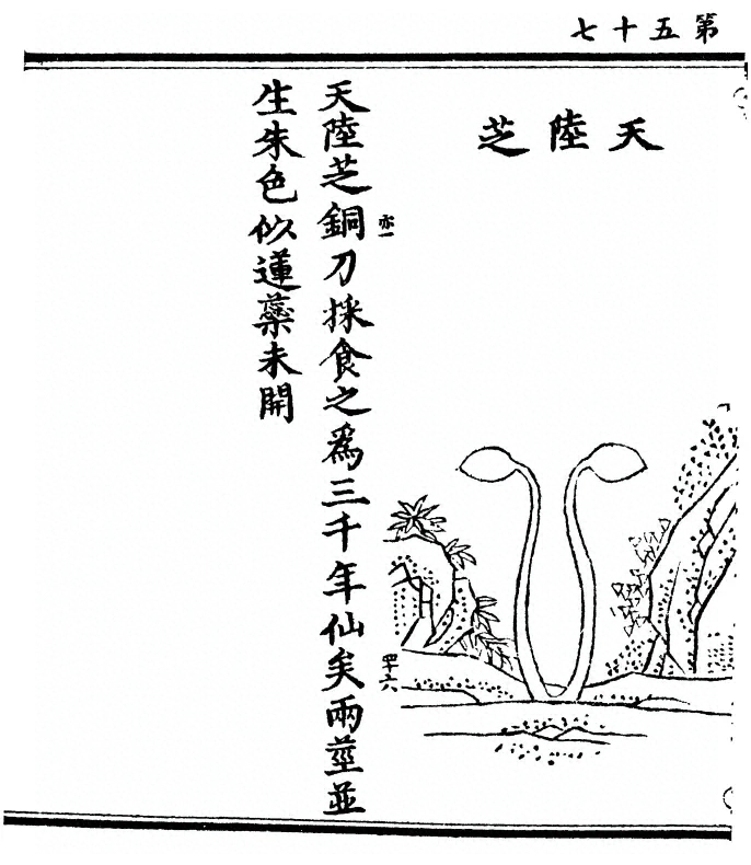 第 114 页