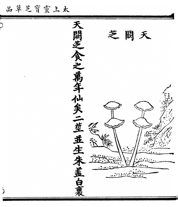 第 115 页
