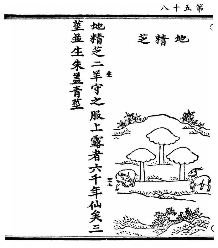 第 116 页