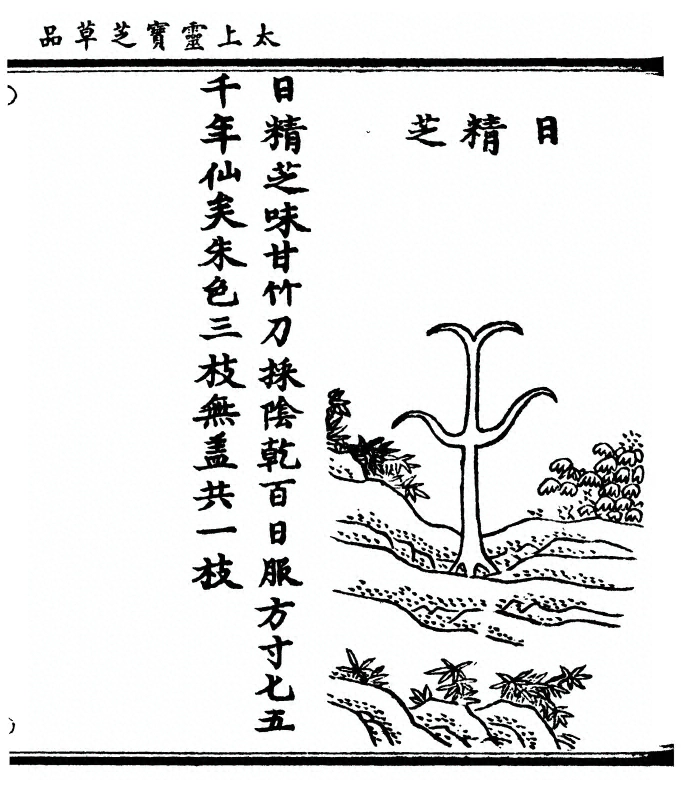 第 117 页