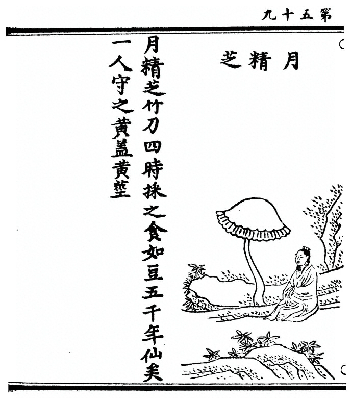 第 118 页