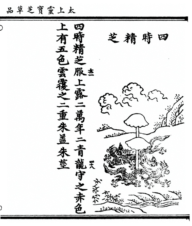 第 119 页