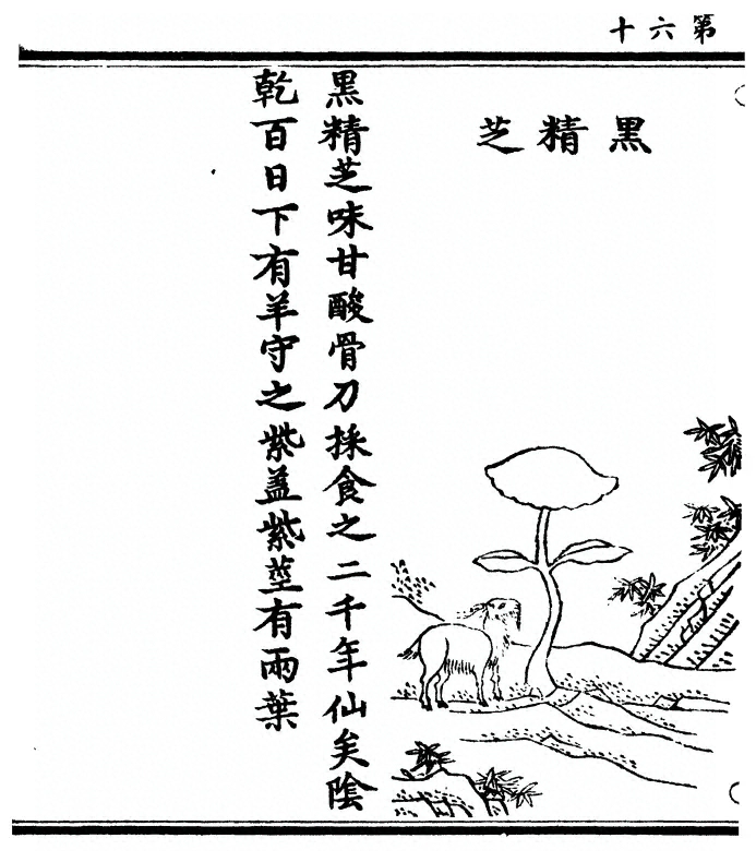 第 120 页