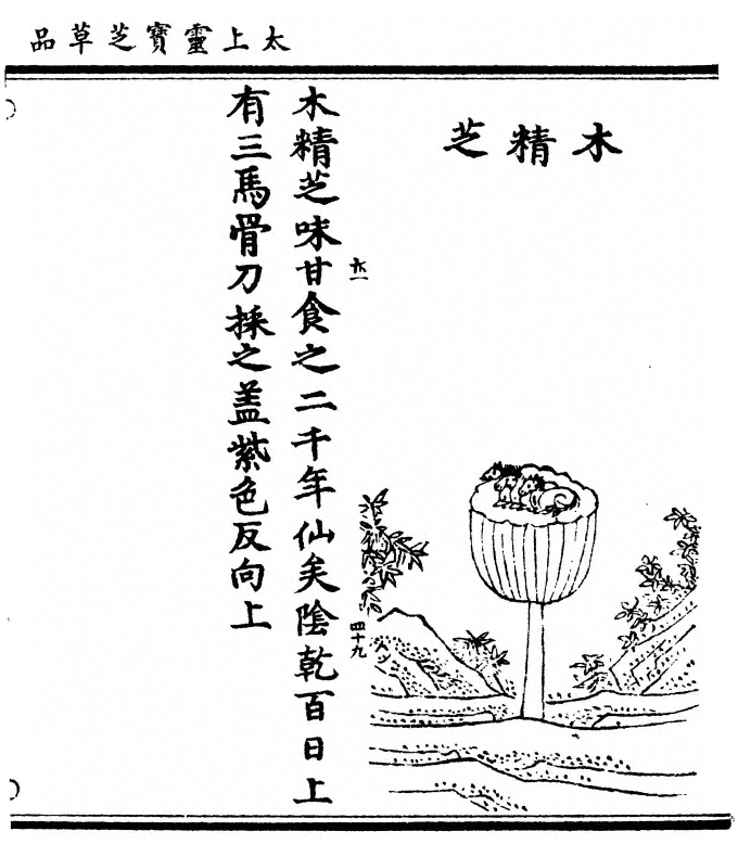 第 121 页