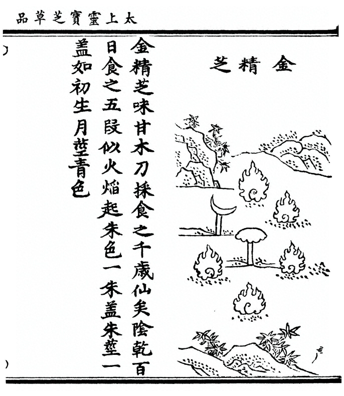 第 123 页