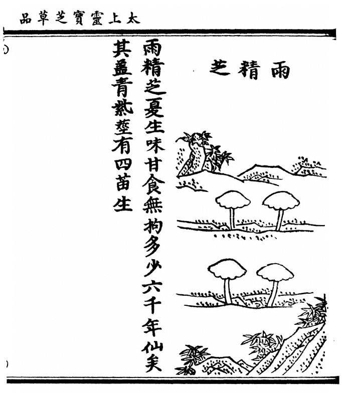 第 125 页