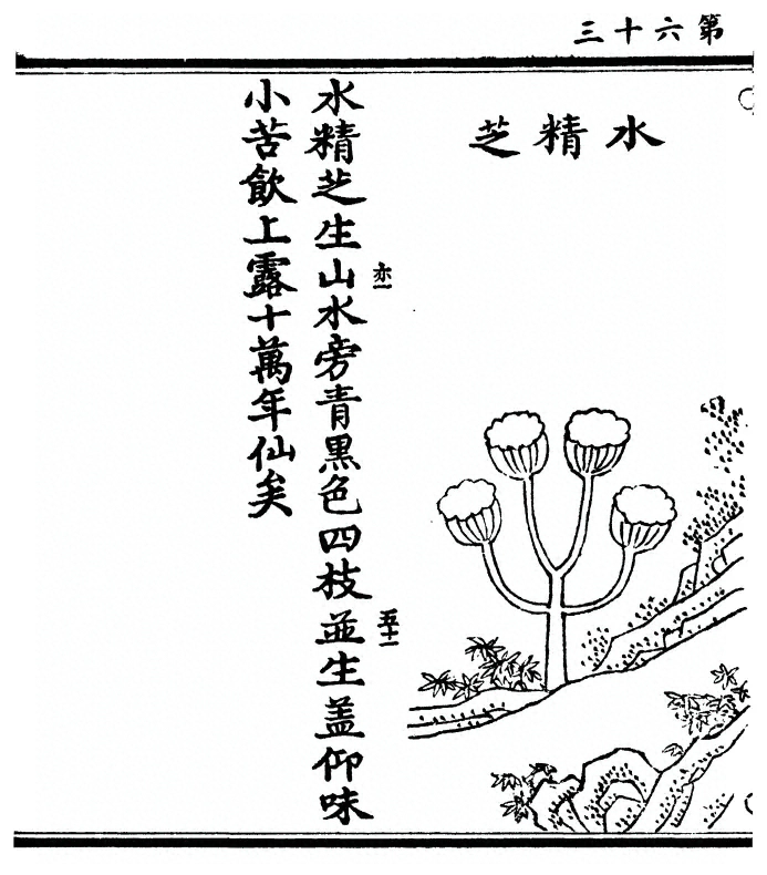 第 126 页