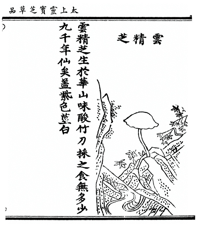 第 127 页