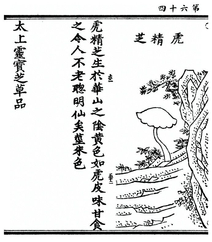 第 128 页