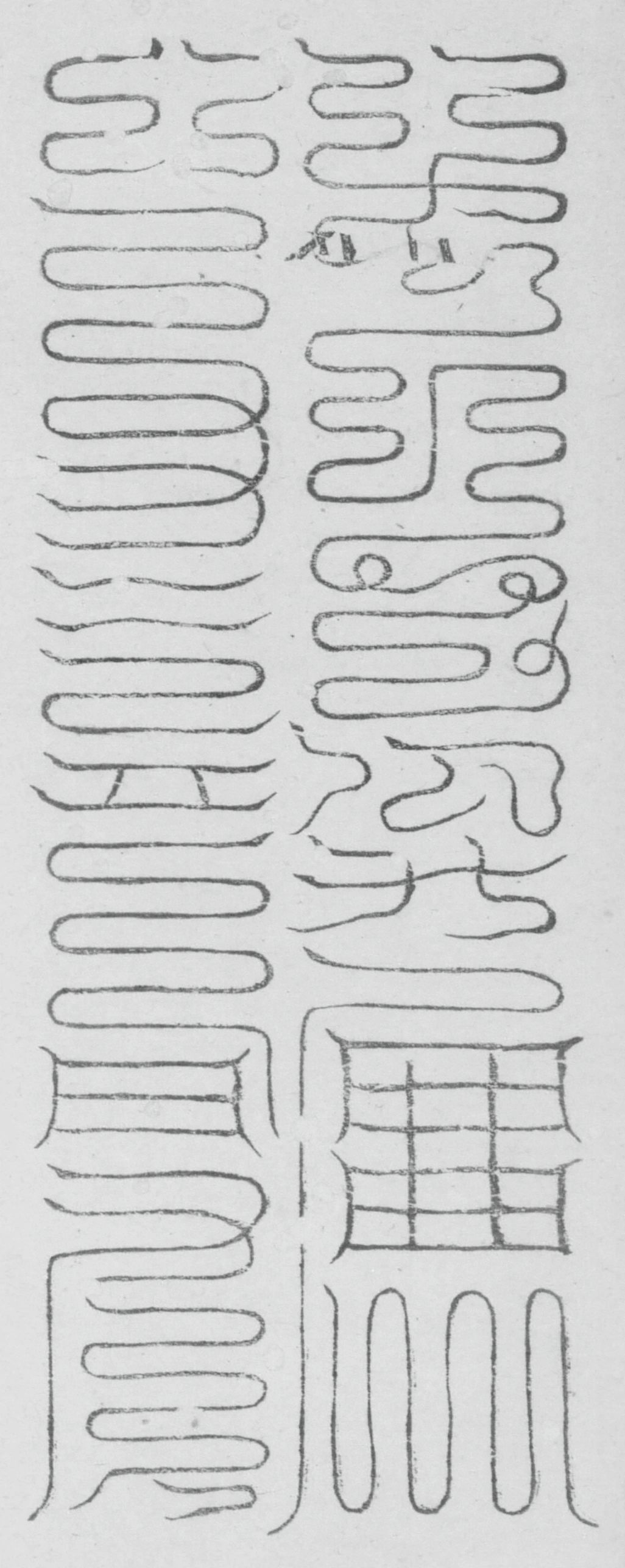 插图