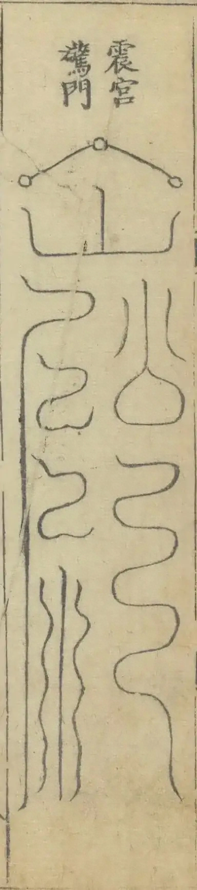 插图