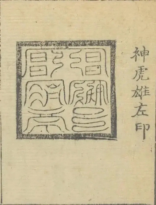 插图