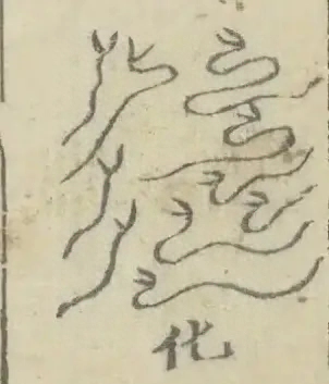插图
