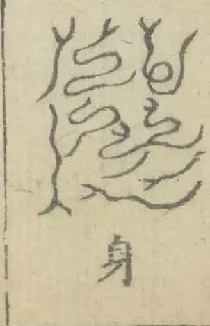 插图