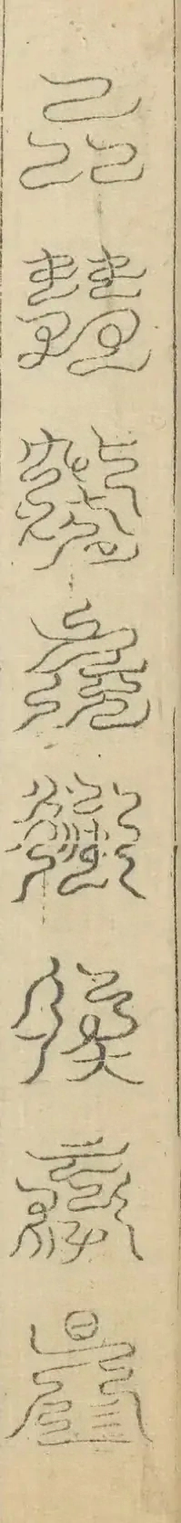 插图
