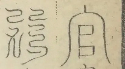 插图