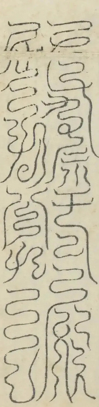 插图