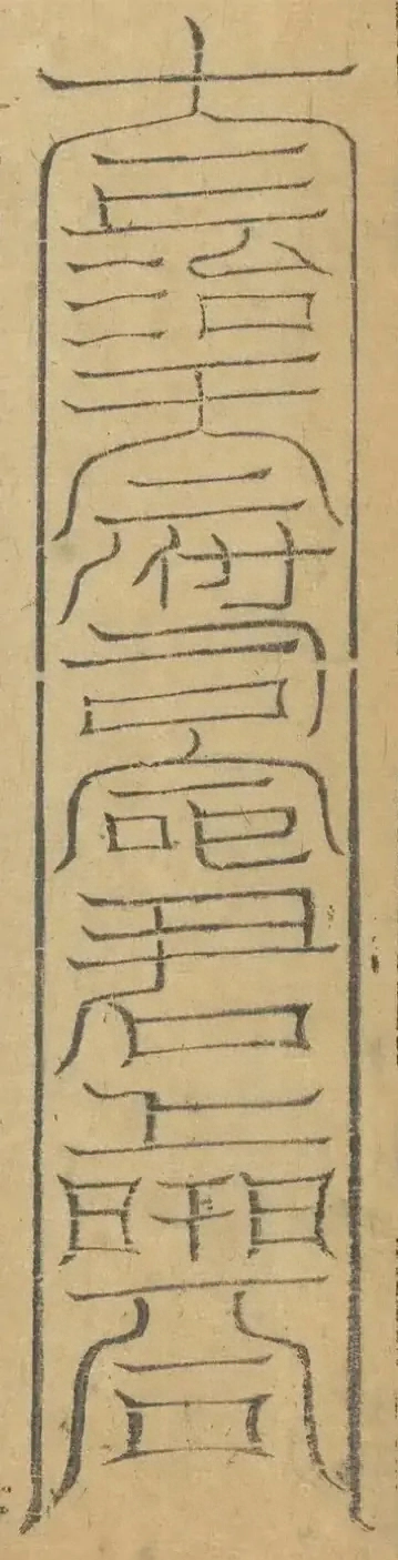 插图