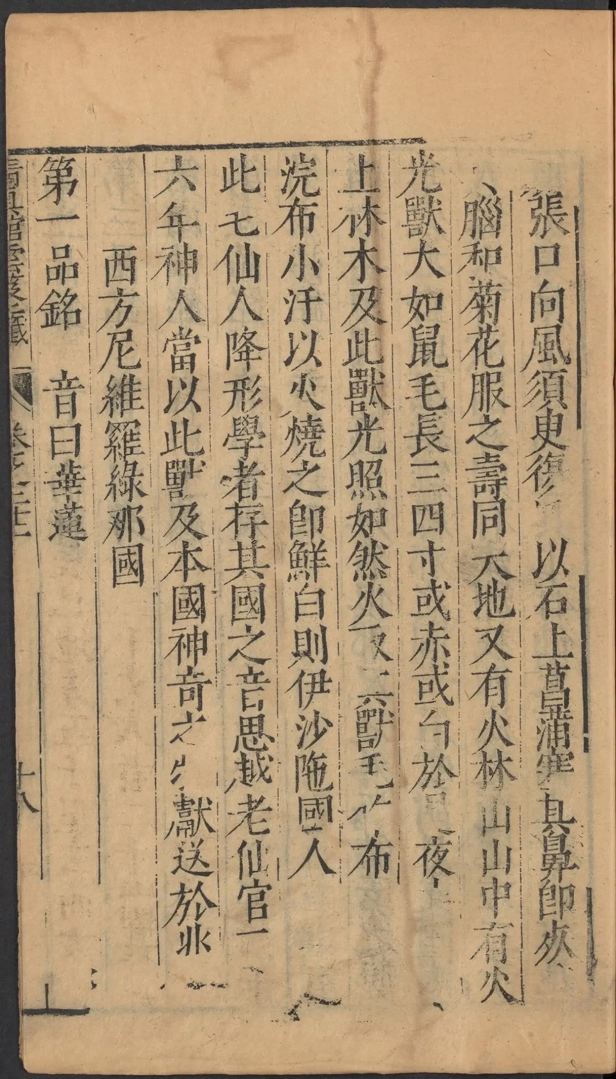 p. 1119