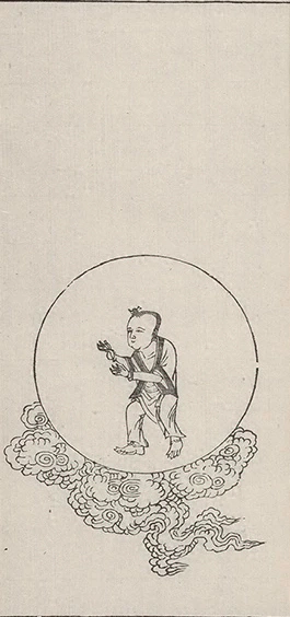 插图