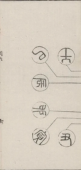 插图