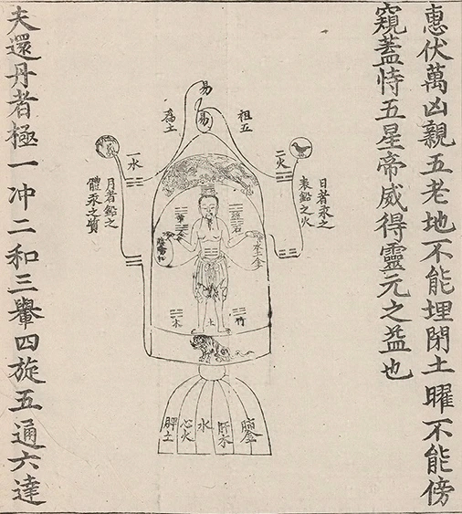 插图
