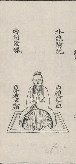 插图