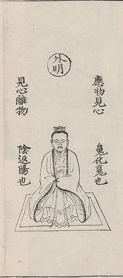 插图
