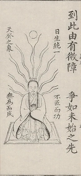插图