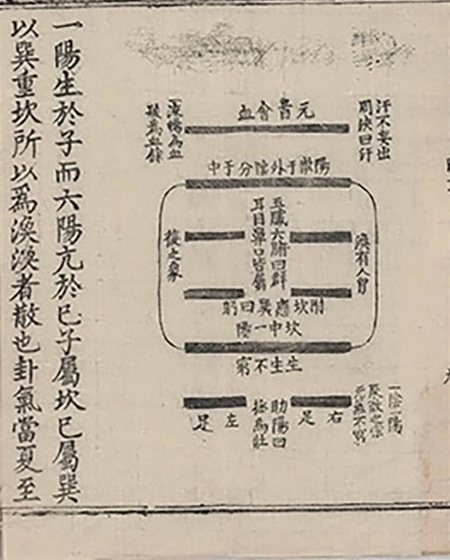 插图