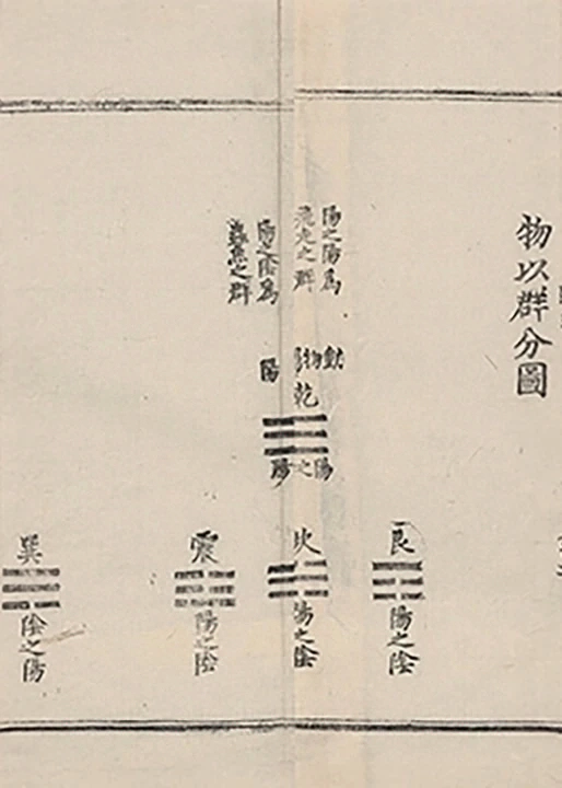 插图